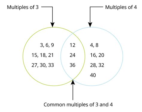 cbse notes class  maths chapter