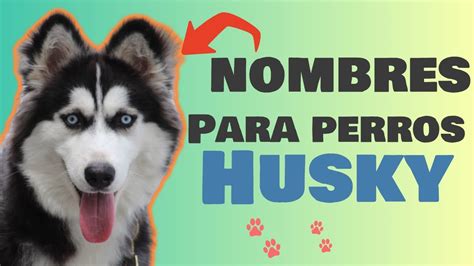 Introducir 30 Imagen Nombres De Perros Lobos Machos Abzlocal Mx