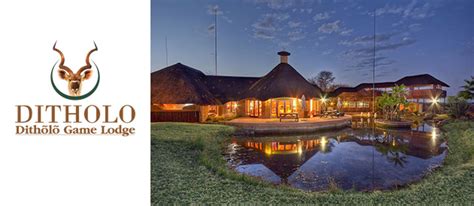 DITHÔLÔ GAME LODGE, BELA-BELA - Businesses in Bela-Bela (Warmbaths)