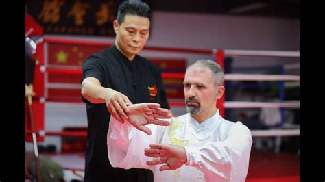 Taiji Chen Maestro Enrico Randi Cavalcare il drago 倒骑龙 Dào qí lóng