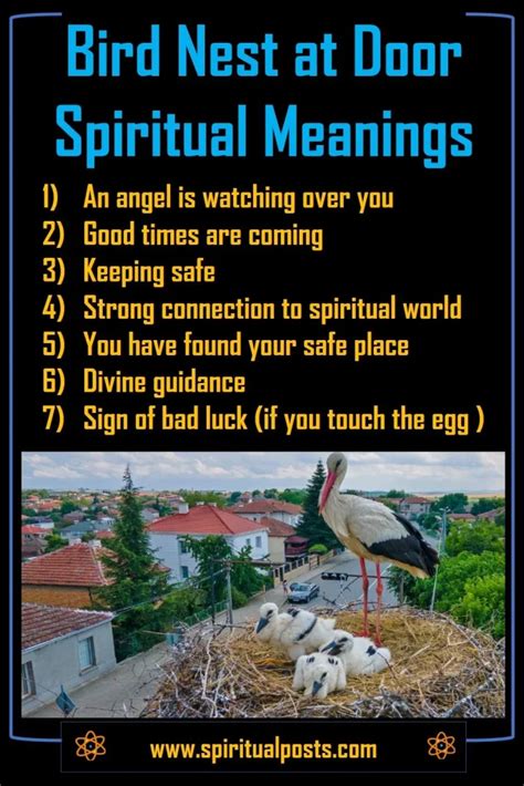 Spiritual Meanings Of Bird Nest At Front Door Of House Spiritual Posts