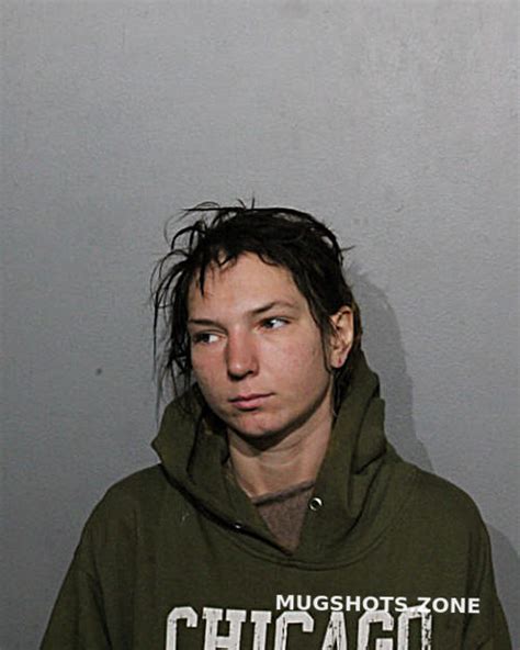 HAJRIJA MEMIC 01 04 2023 Chicago Mugshots Zone