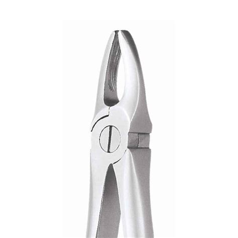 Gdc Extraction Forceps Standard Upper Anterior Fx1s