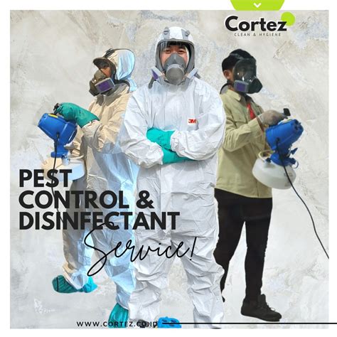 jasa pest control kalimantan tengah cortez clean hygiene