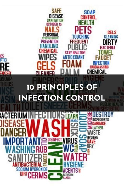 Principles Of Infection Control Minimizing The Risk Of Infection