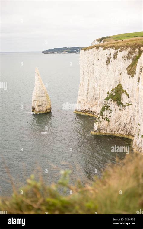 The Pinnacles Old Harry Rocks Sea Stacks Off The Jurassic Coast Unesco World Heritage Site In