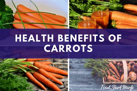 Some Of The Best Health Benefits Of Carrots You Should Know Food Shark Marfa