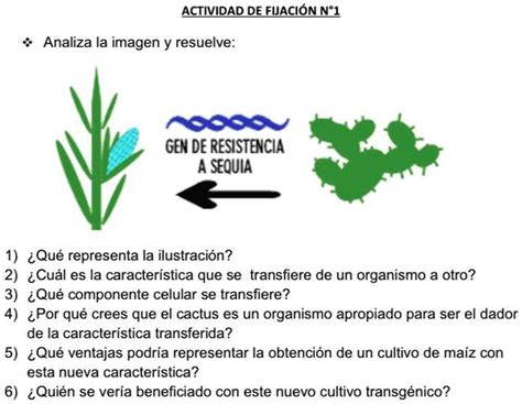 SOLVED Ayudaaaa porfavor doy puntos ACTIVIDAD DE FWACIÓN N 1 Analiza