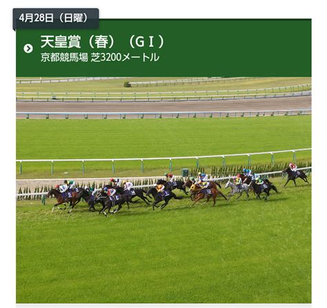 天皇賞春2024 枠順確定予想単勝オッズ 競馬場へ行こう‼ 《 ケロッピー 彡