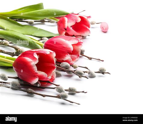 Beautiful Tulip Flowers And Pussy Willow Branches On White Background Closeup Stock Photo Alamy