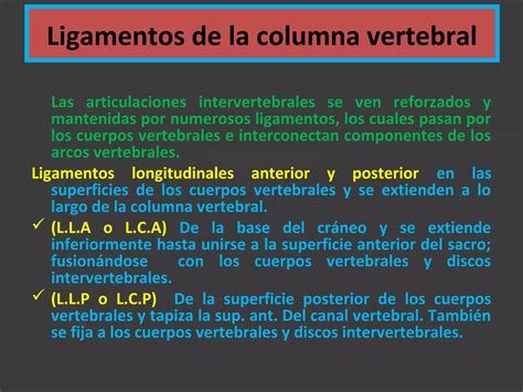 Ligamentos De La Columna Ppt Descarga Gratuita