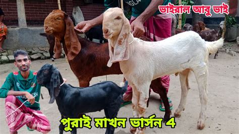 পুরাই মাখন ভার্সন 4। ফিক্সট রেট। ভাইরাল আবু ভাইয়ের কাছ থেকে উন্নত ও ক্রস বাচ্চা ছাগল কিনুন।