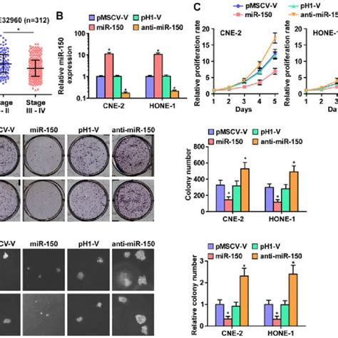 Mir‑150 Inhibits Tumorigenesis Of Nasopharyngeal Carcinoma Cells In