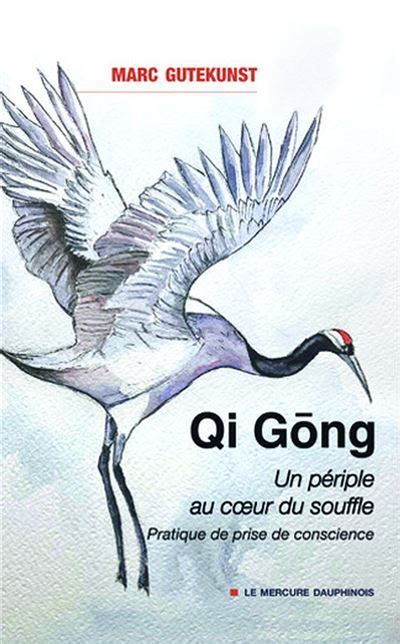 Qi Gong Un périple au coeur du souffle Pratique de prise de