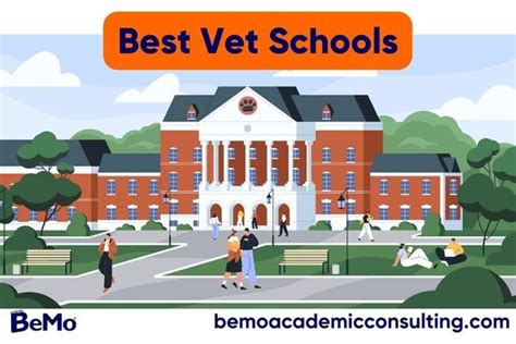 Best Vet Schools | BeMo®