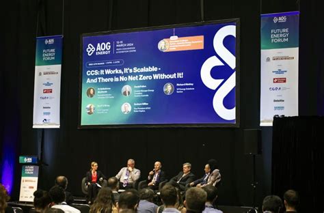 #ccs #energy #oilandgas #lng #netzero | Deloitte 