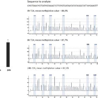 Gene Expression And Dna Methylation Analysis Of Hist H F Gene In T