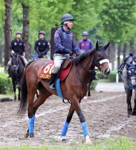 【オークス】桜花賞馬ステレンボッシュ、戸崎騎手と軽快 国枝師「気になるところはない」 3歳馬特集 競馬 日刊スポーツ