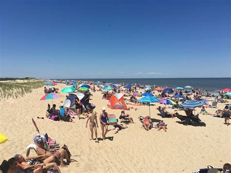 Cape Henlopen State Park Camping