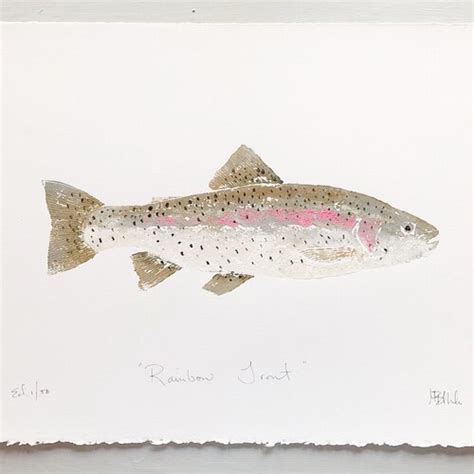 Rainbow Trout Fish Freshwater Fish Fish Painting Trout Etsy