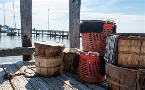 Where To Go Crabbing in Cecil County, MD? | Locations | Fisherman First