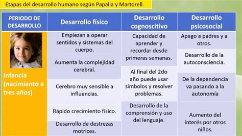 Las 8 Etapas Del Desarrollo Humano Prenatal Concepción Al Nacimiento Ppt Descargar