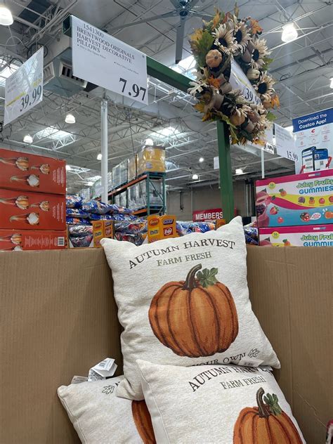 Brentwood Originals Harvest Decorative Pillows - Costco97.com