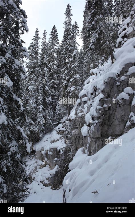 Winter In Johnston Canyon In Alberta Stock Photo Alamy