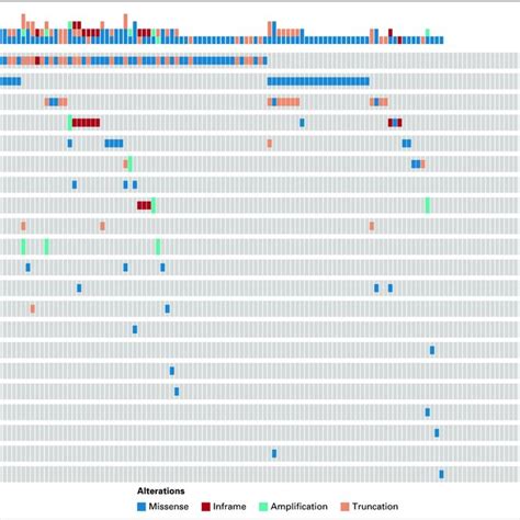 Liquid Biopsy Circulating Tumor Dna Ctdna Molecular Profiles Of