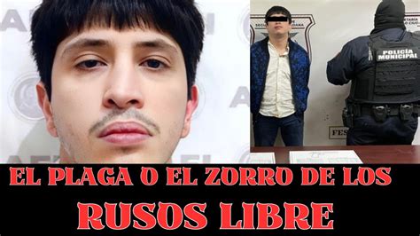 El Plaga De Los Rusos Libre Y En Sus Andanzas Noticias Mexico Youtube