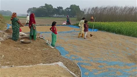 আবারো চলে আসলাম গ্রামের বাড়িতেঅসম্ভব ভালো লাগে কোলাহল মুক্ত গ্রামের