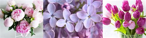 Armenian flowers