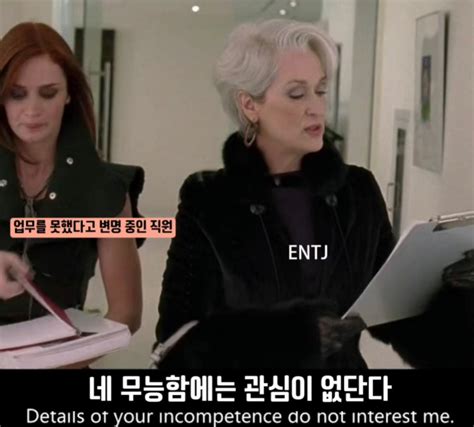 Entj 특징 남자 여자 팩폭 엔티제 연예인 유명인 직업 추천 짤 모음 네이버 블로그