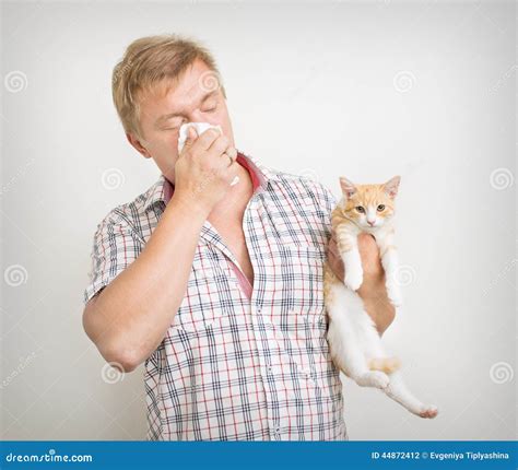 Allergic To Animals Stock Photo Image Of Hair Allergens 44872412