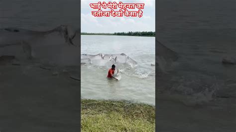 How To Catch Fish With Net जाल से मछली।कैसे पकड़े मछली पकड़ने की सबसे