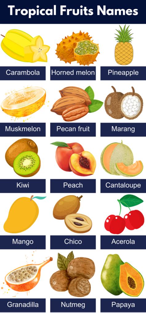 List Of All Tropical Fruits Name Pictures Pdf Grammarvocab