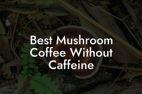 Best Mushroom Coffee Without Caffeine Mr Mushroom