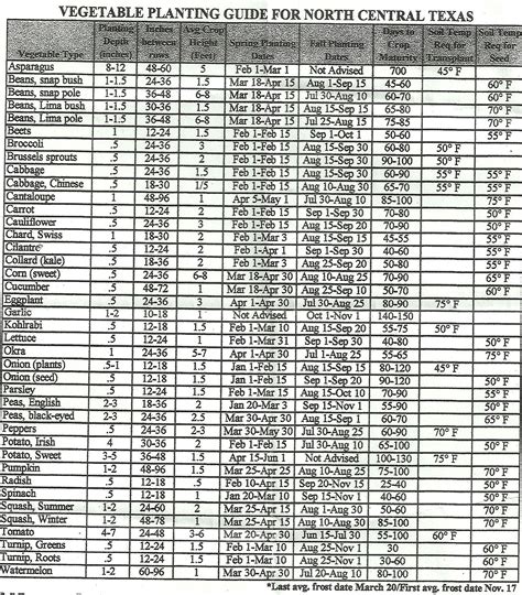 Garden Planting Guide Texas – Yoiki Guide