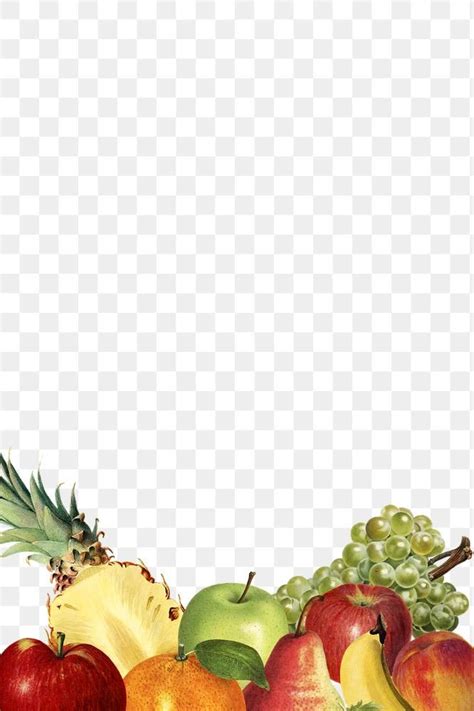 Hand Drawn Mixed Tropical Fruits Border Design Element Premium Image