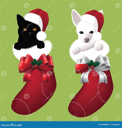 Kitten And Puppy In Christmas Stockings Stock Vector Illustration Of