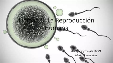 Unidad La Reproducci N Humana Ppt