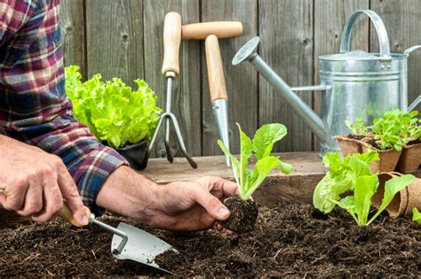 10 Must Have Garden Tools Blain S Farm Fleet Blog