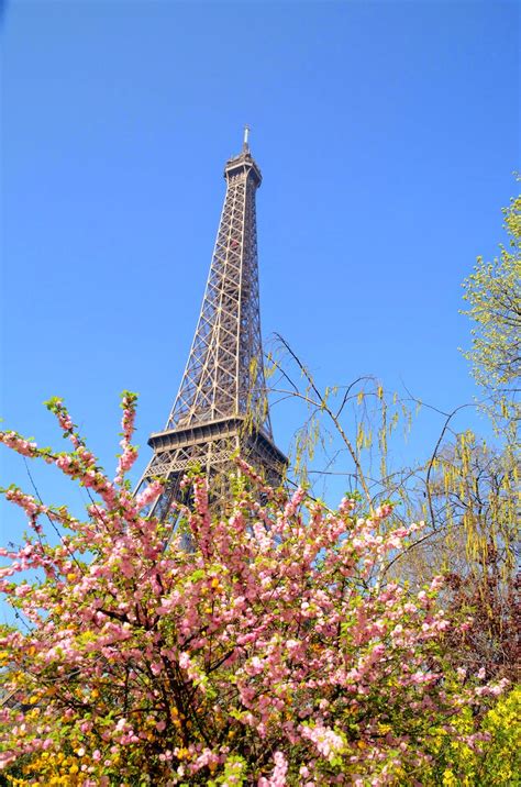 Paris and Beyond: un printemps à Paris