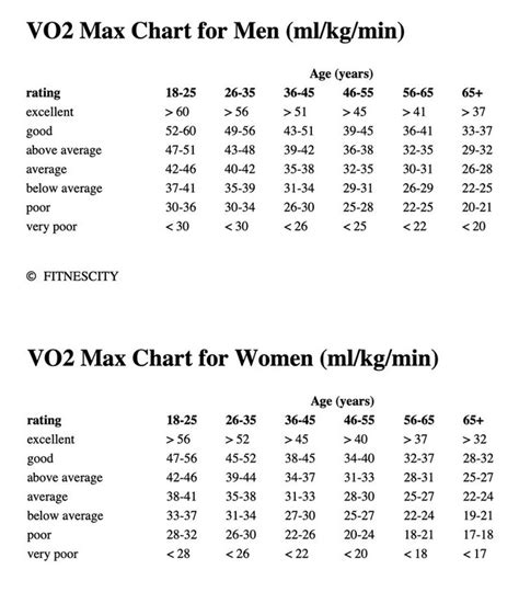 What Is Vo2 Max Strategies For How To Measure And Improve 59 Off