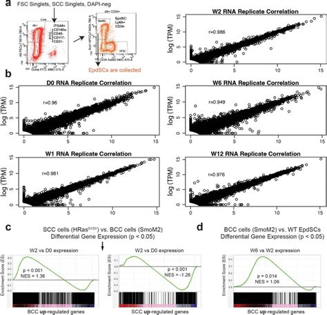 The pioneer factor SOX9 competes for epigenetic factors to switch stem ... 