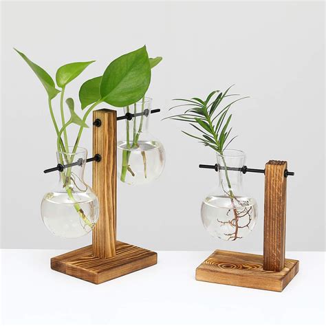 Uwioff 2 Pack Plant Terrarium With Wooden Stand Air Planter Bulb Glass Vase Propogation Station