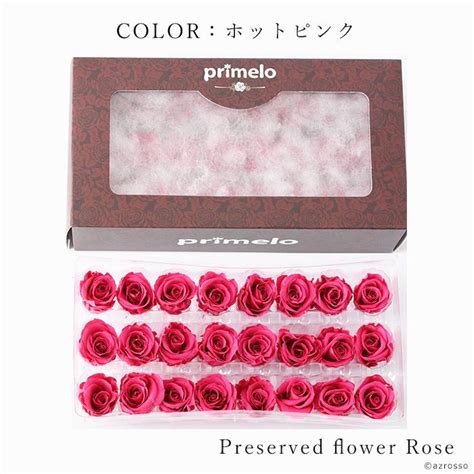 プリザ ーブド フラワー ローズ バラ 薔薇 花 材 フラワー 切り花 赤 レッド ピンク ギフト 制作 Prmros009 ギフト