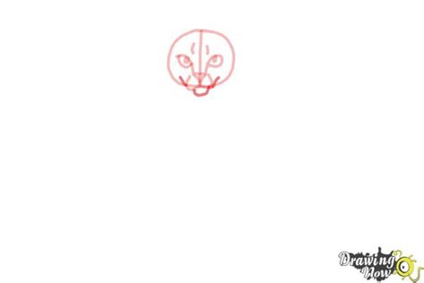 How To Draw Hawkfrost From Warrior Cats Drawingnow