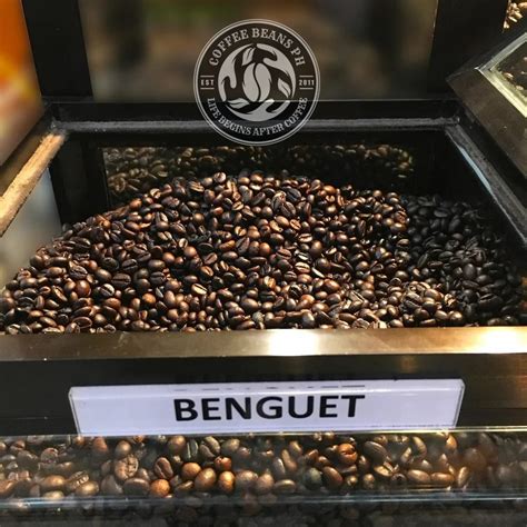 Benguet Arabica Beans Ground Premium Quality Coffee Beans Ph Home