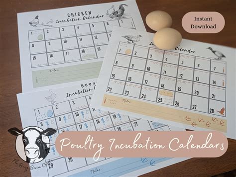 Printable Egg Incubation Hatching Calendar And Tracker For Chickens Ducks And Geese Instant